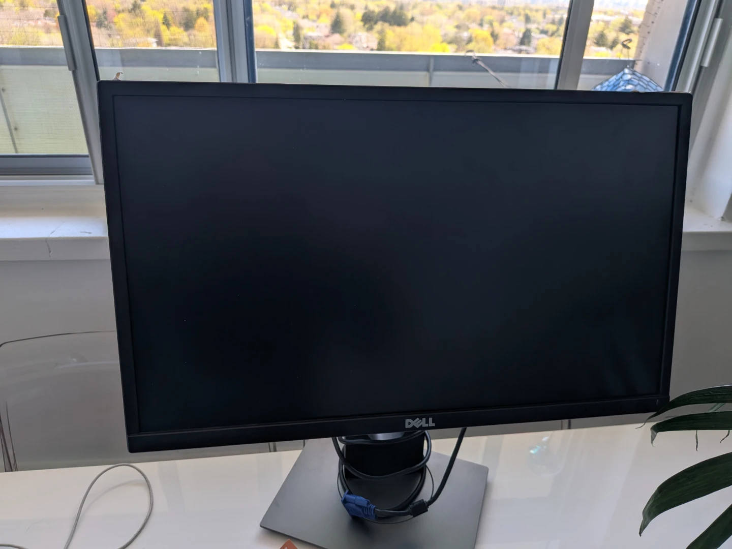 Dell Monitor