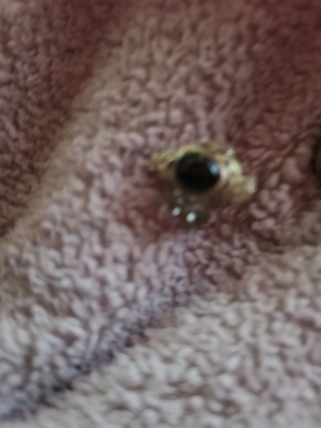 Assorted rings and earrings - photo 4