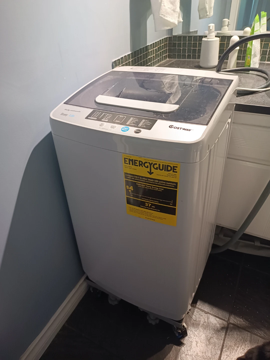 Costway FP10018US Fully Automatic Washing Machine