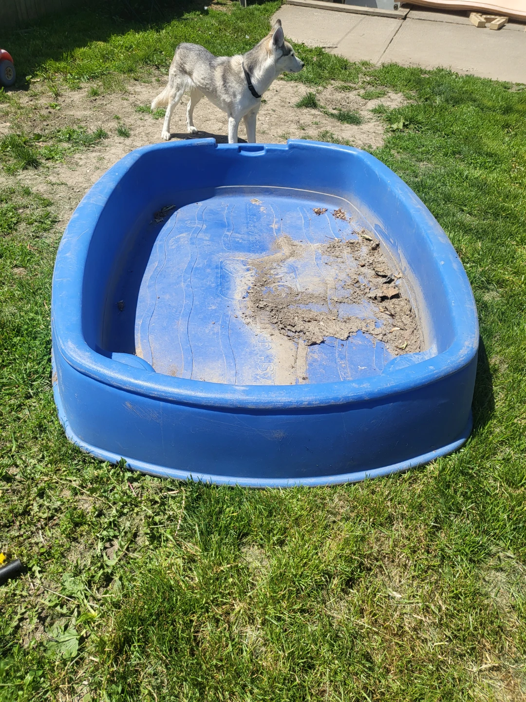 Little Tikes Play Center Blue Plastic Sandbox - photo 2