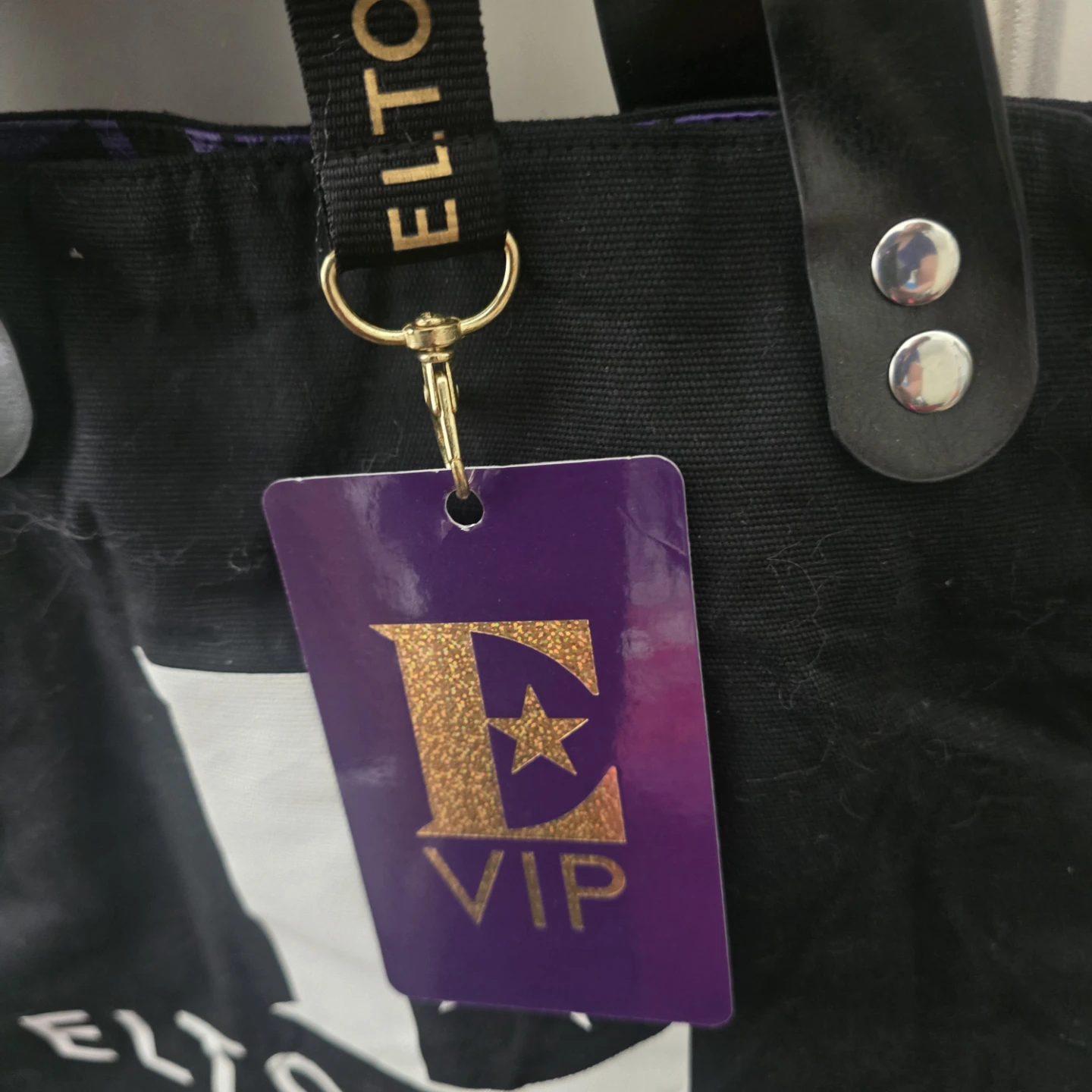 Elton John VIP Tote Bag and Lanyard - photo 2