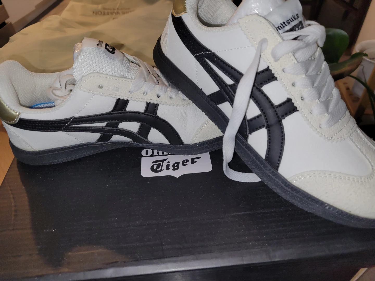 Fashion Shoes