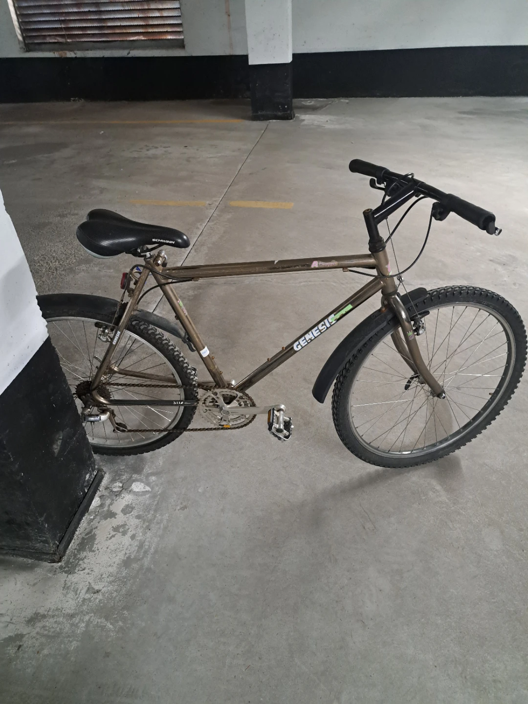 Genesis Mountain Bike