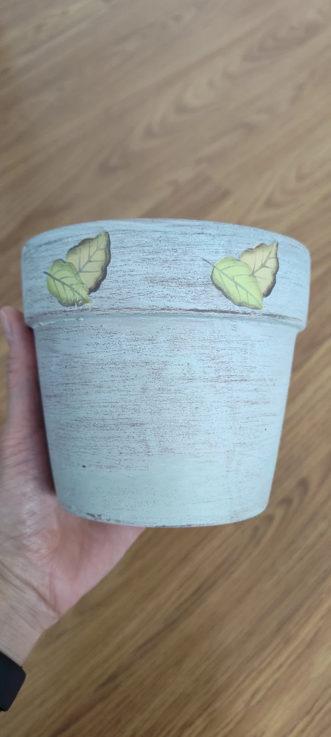 Decorative Terracotta Plant Pot