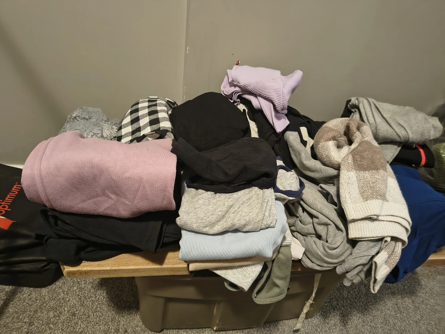 Assorted Women's clothing bundle