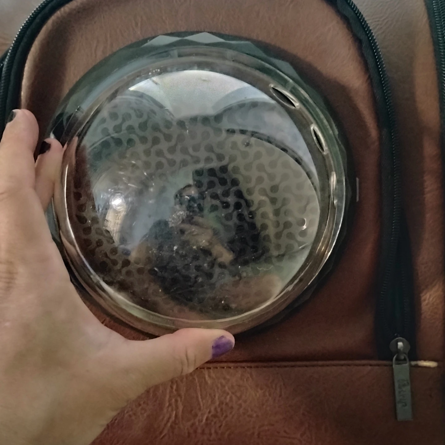 Petrip Pet Carrier Backpack + rogz pet bed - photo 2