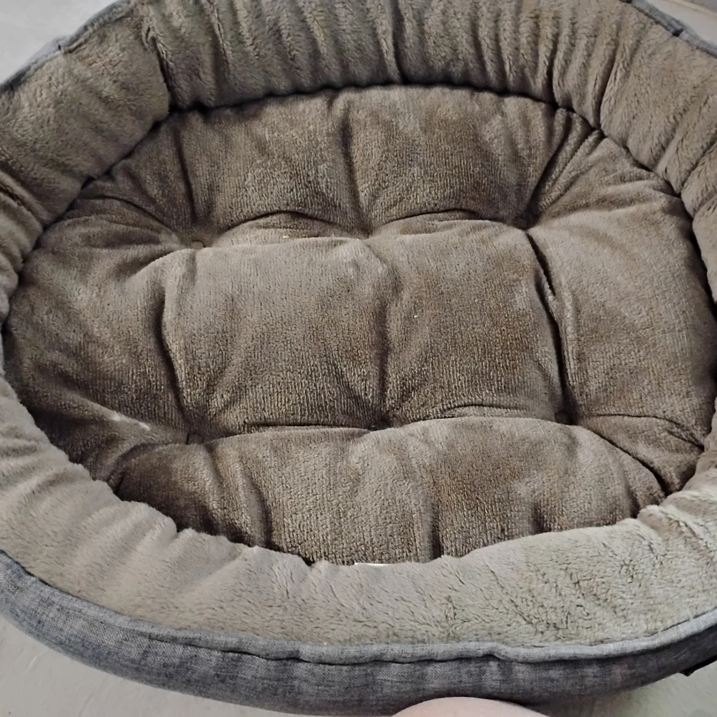 Petrip Pet Carrier Backpack + rogz pet bed - photo 4