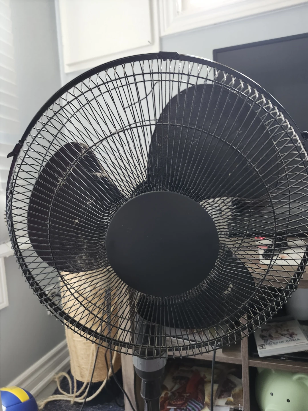 Black Oscillating Pedestal Fan