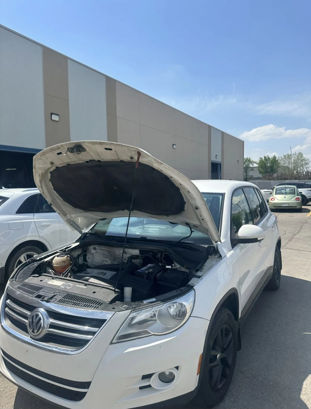 2010 Volkswagen Tiguan 2.0T 4motion - photo 5