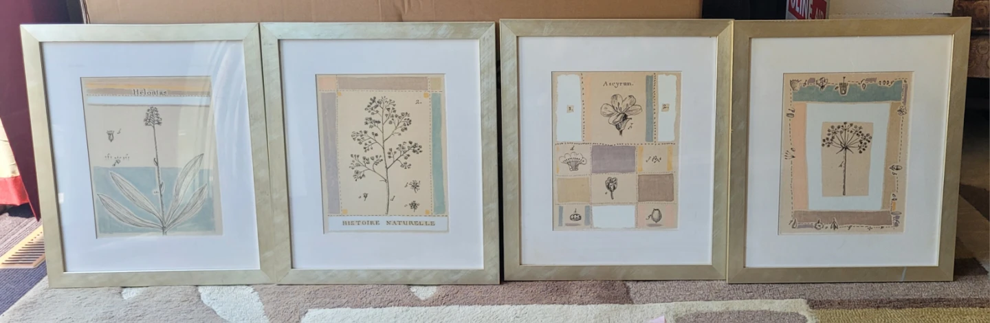 Set of 4 Botanical Art Prints