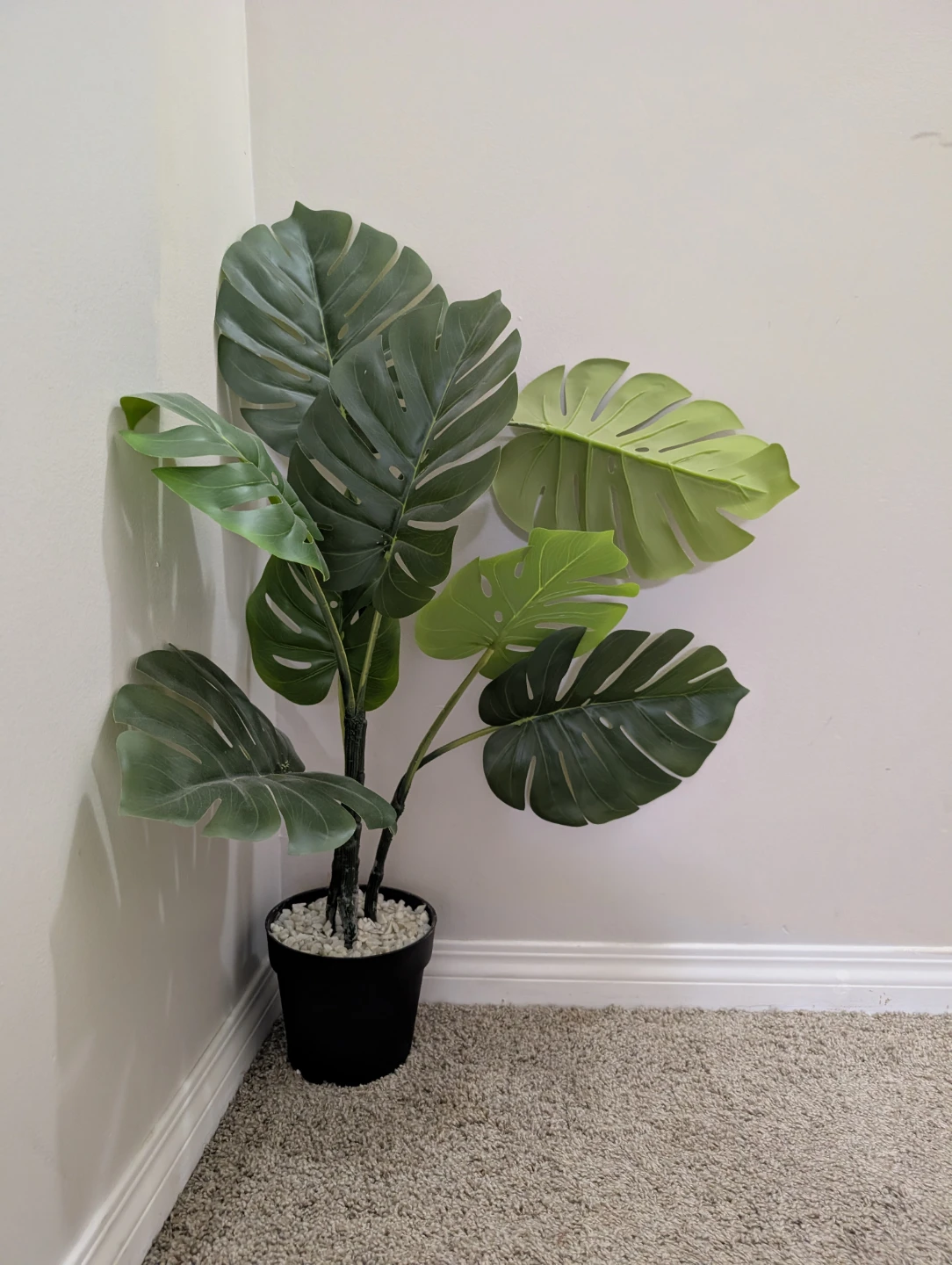 Naturae Decor 23.0" Monstera Plant
