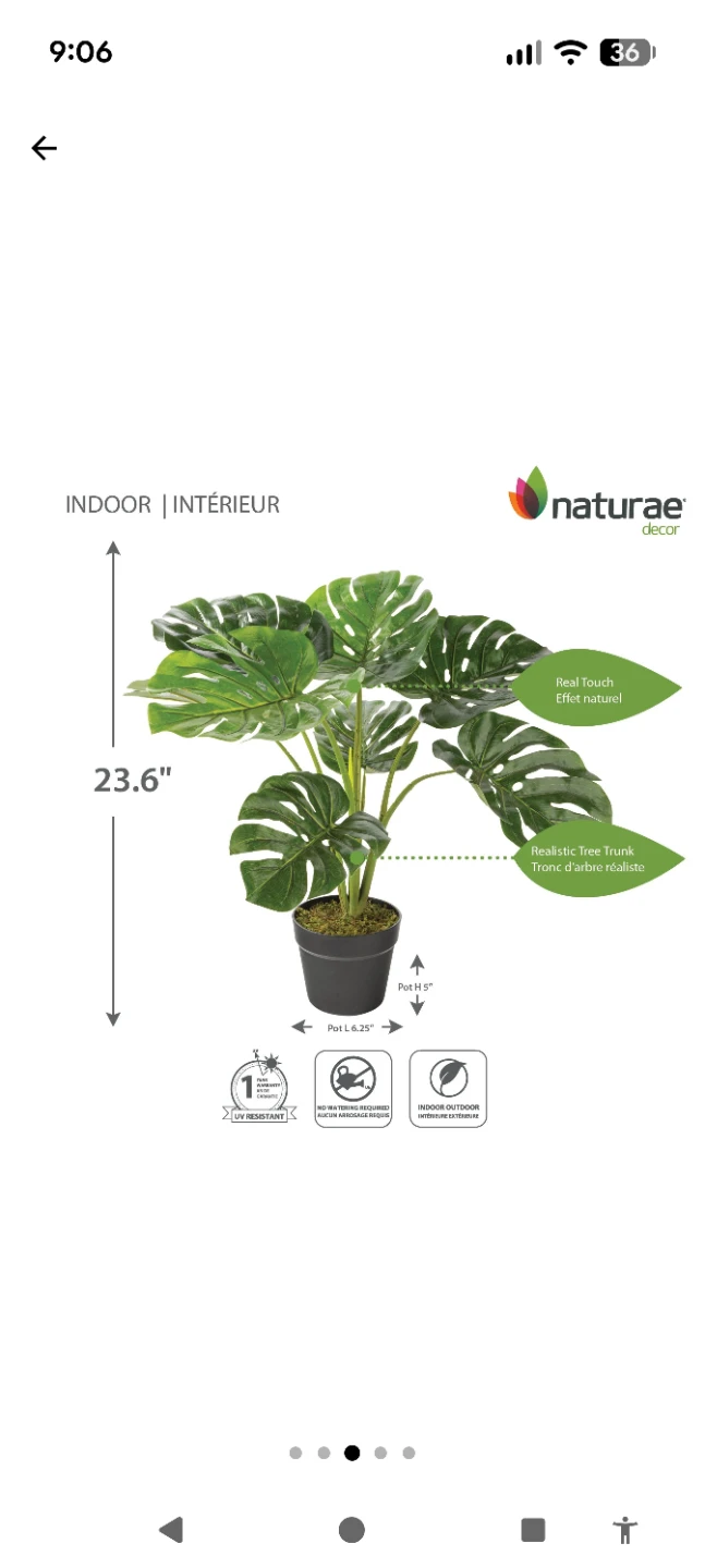 Naturae Decor 23.0" Monstera Plant - photo 2