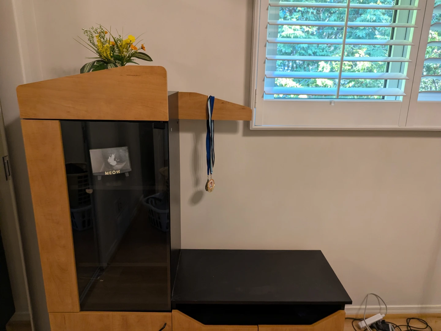 Entertainment and book shelves
