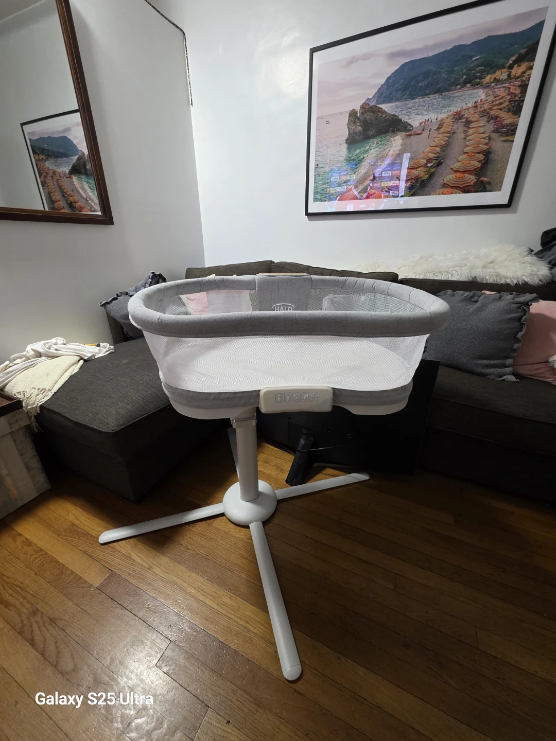 Halo Bassinet Swivel Sleeper