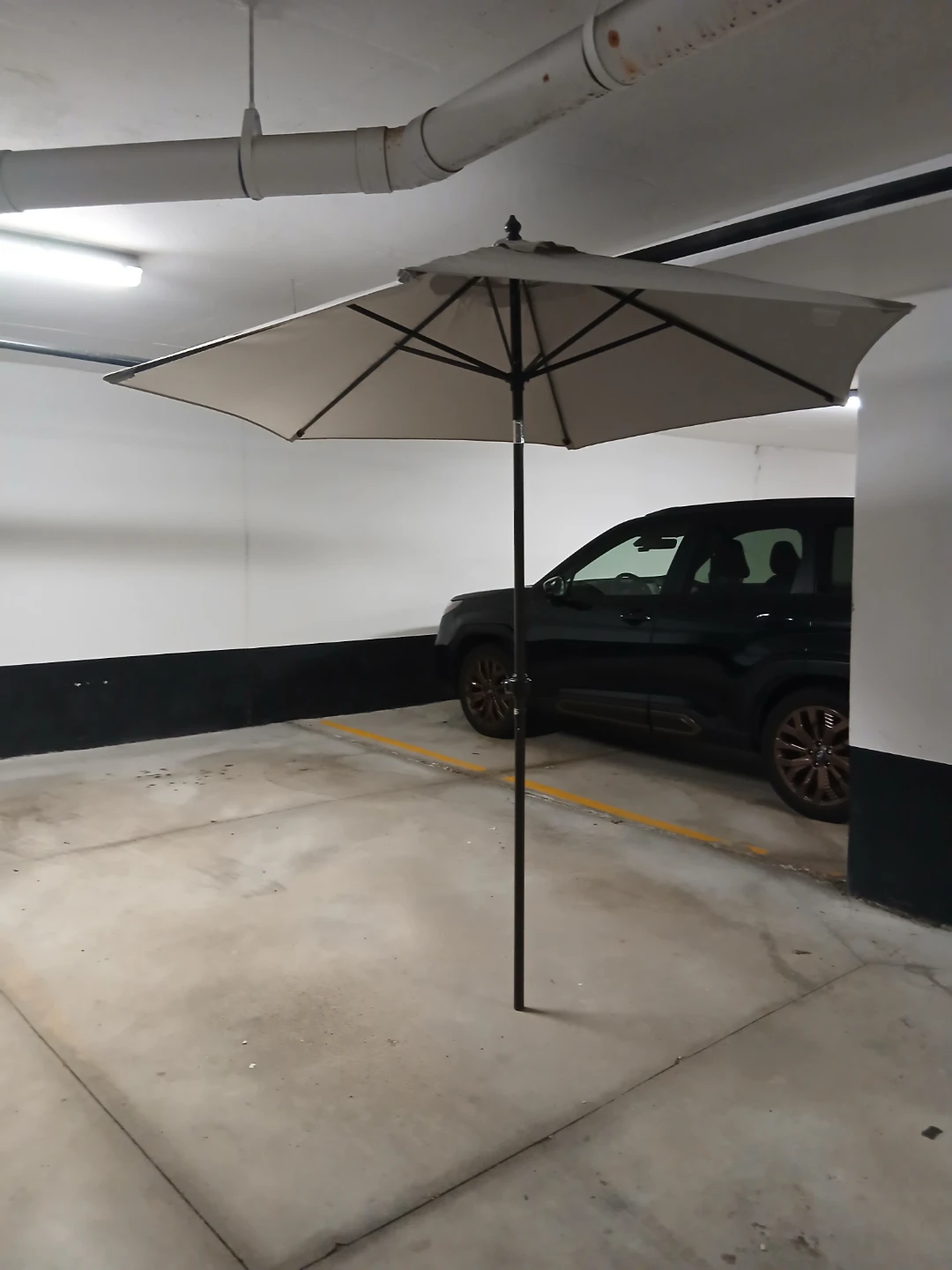 Patio Umbrella