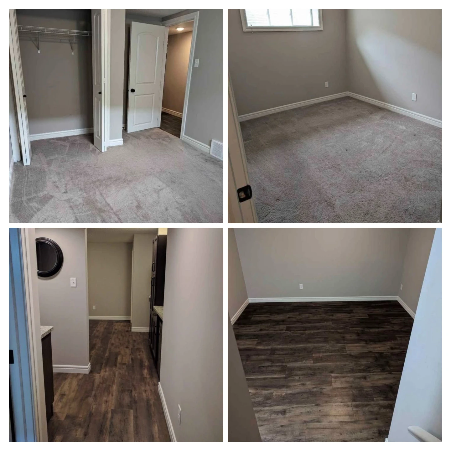 Basement bedroom for rent