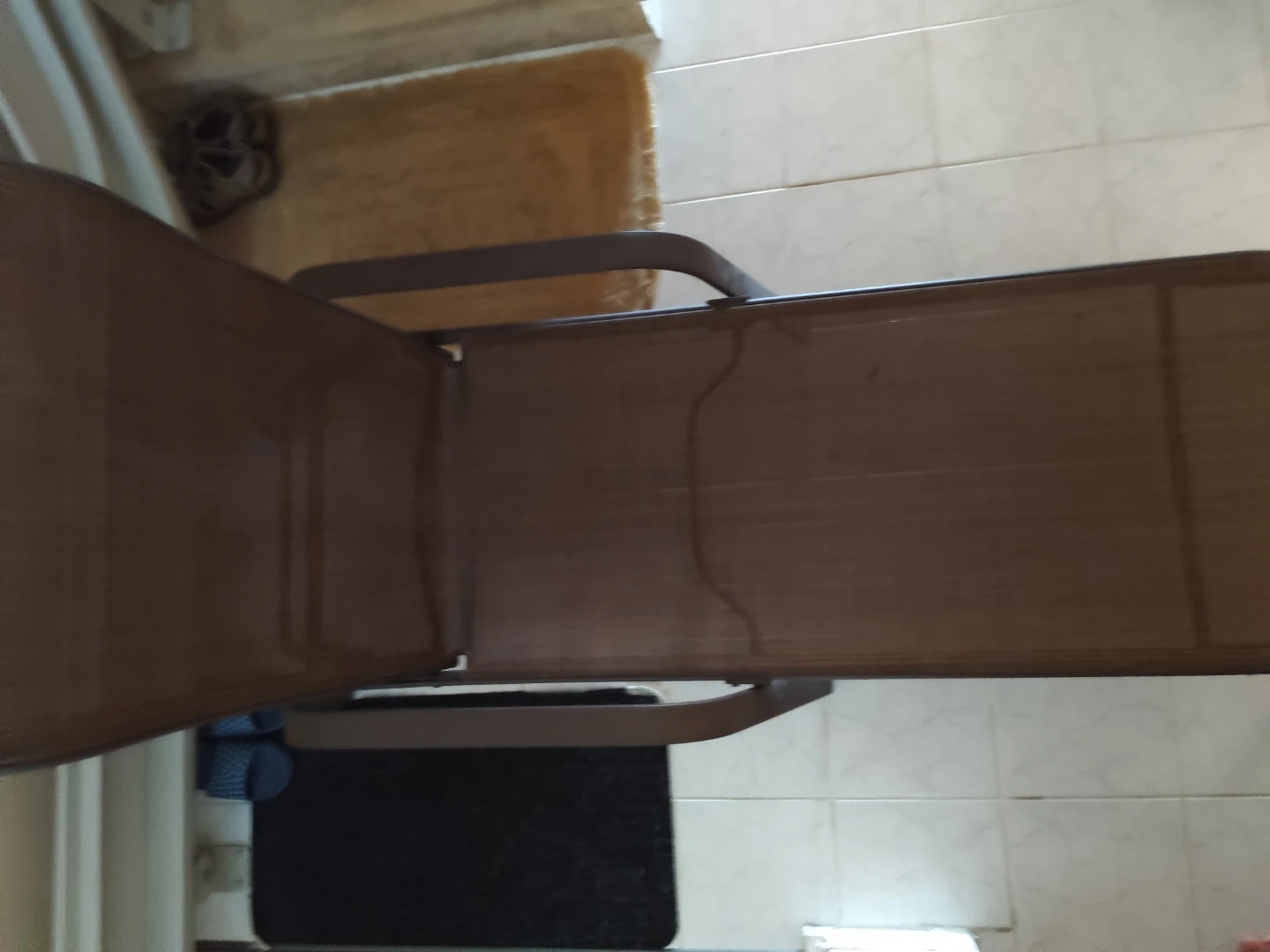 Brown Mesh Chaise Lounge Chair - photo 2