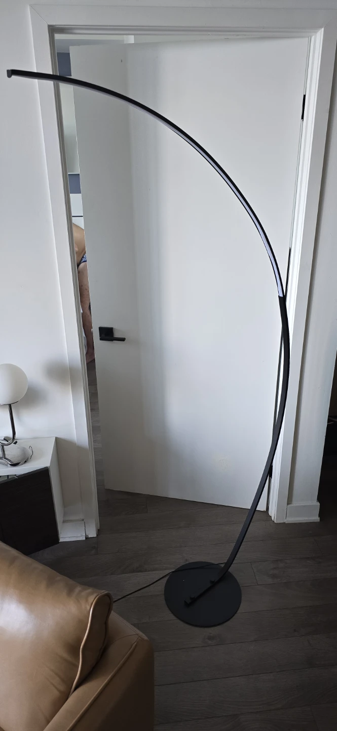 Arc Floor Lamp Black LED