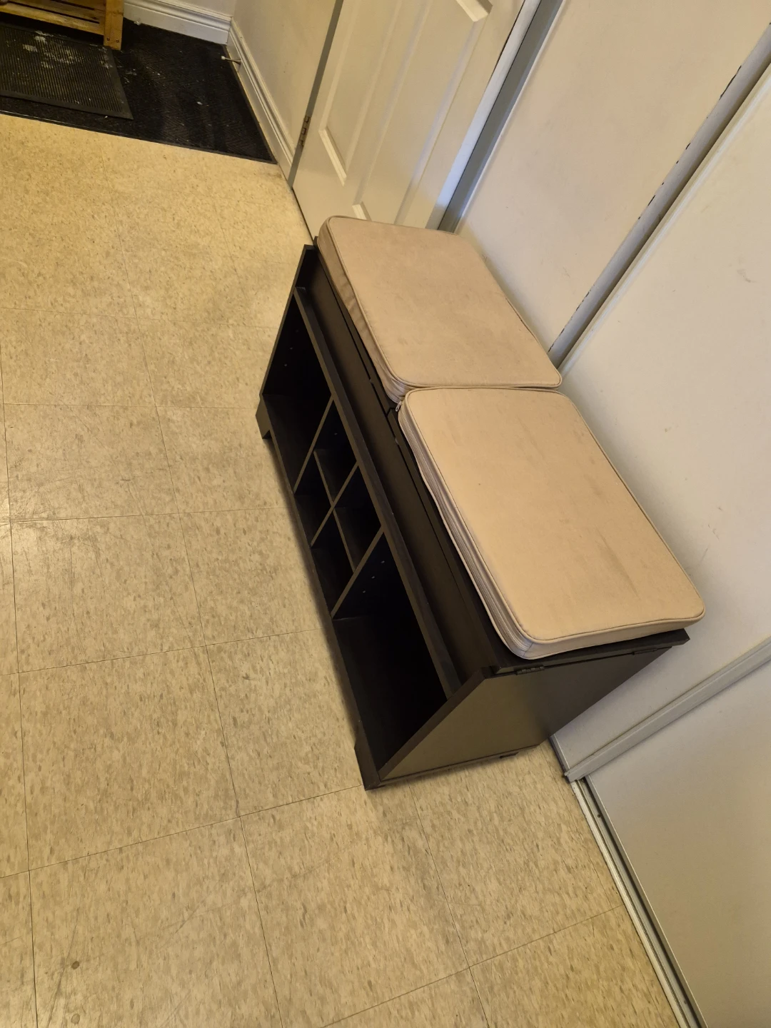 Storage Bench with Cushion