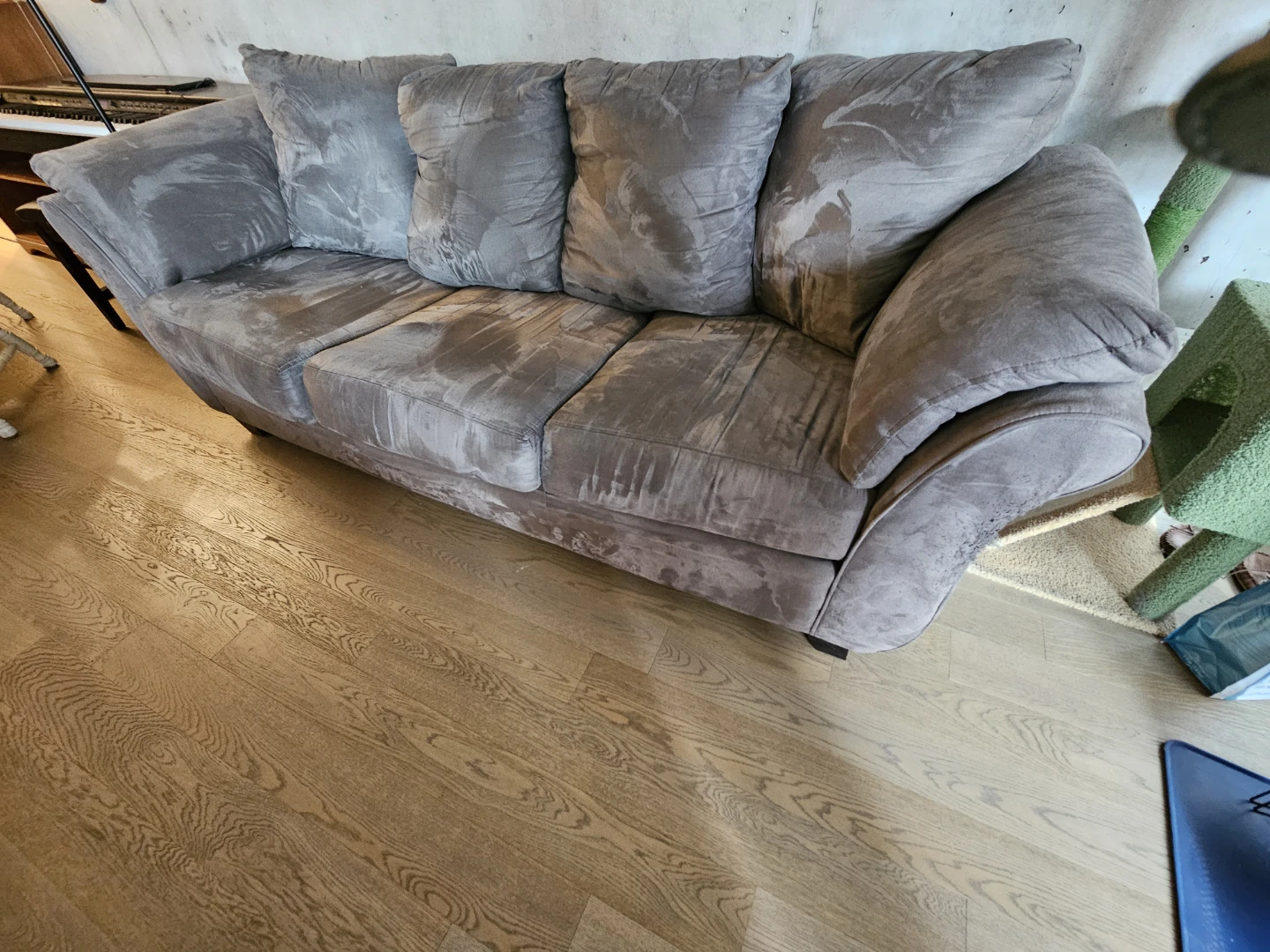 Free Grey Couch - photo 3