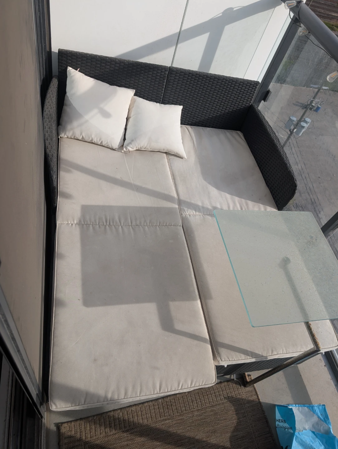Outdoor Wicker Daybed with Cushions