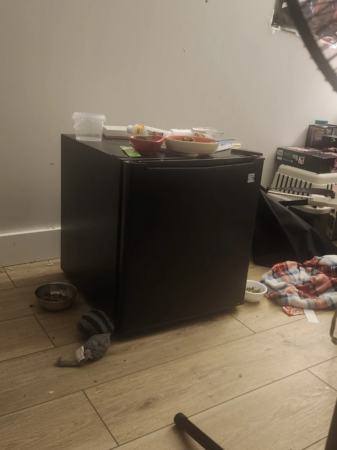 Black Compact Mini Fridge