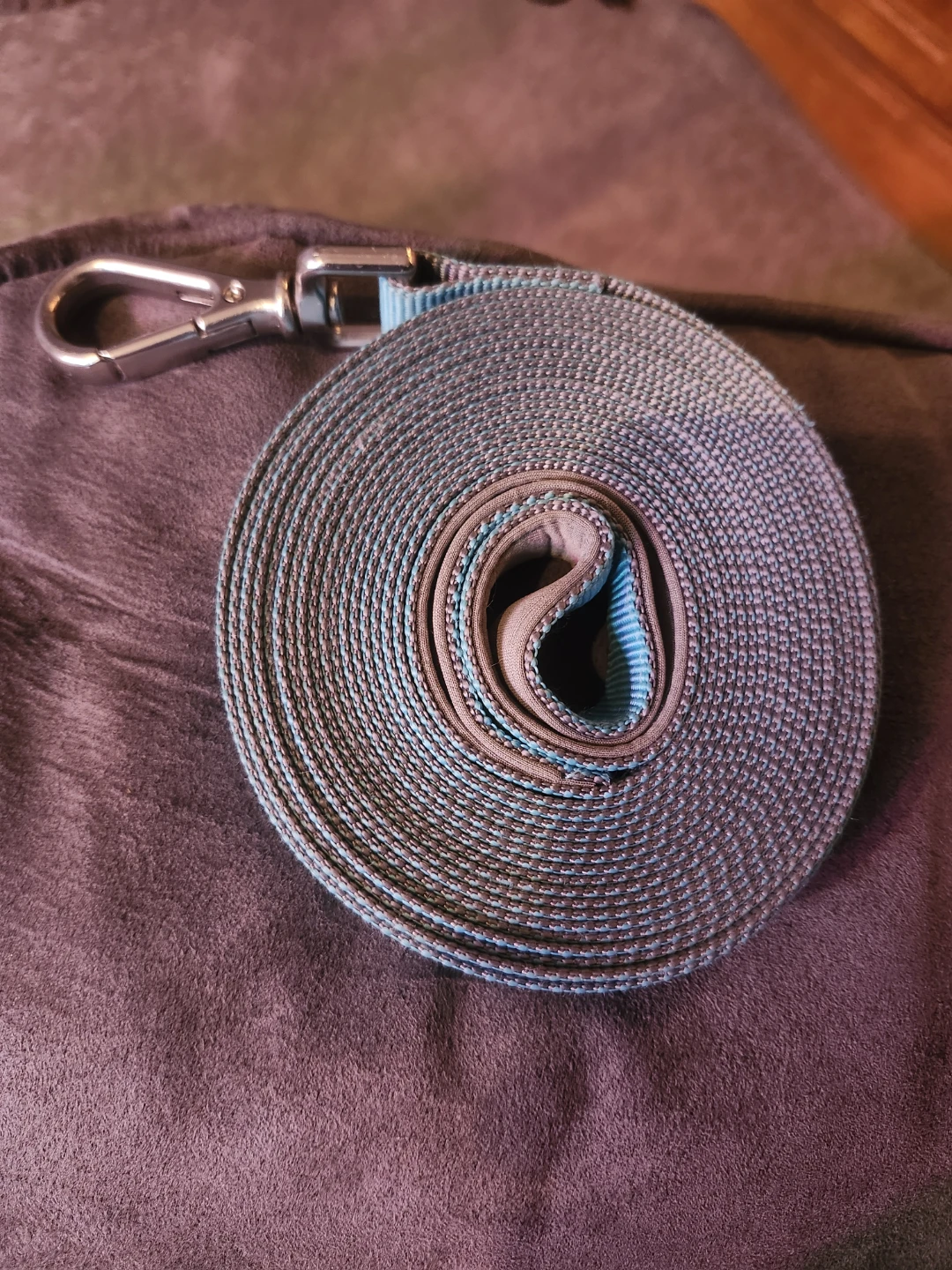 Blue and Grey Dog Leash with Swivel Clasp