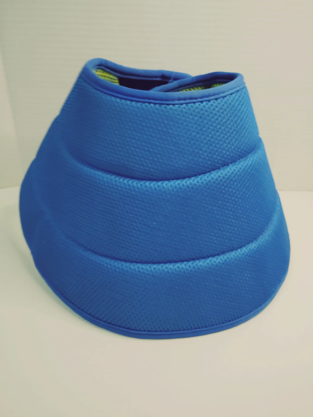 Blue Pet Recovery Collar