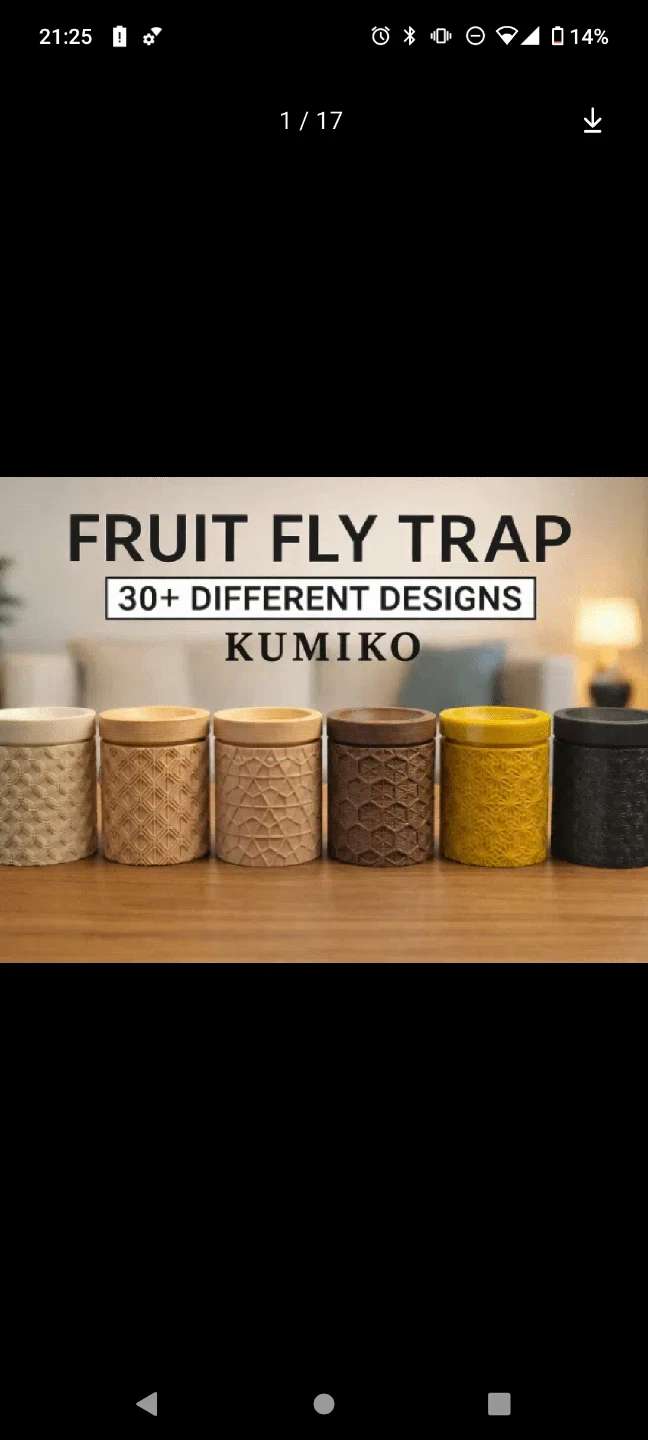 Kumiko Fruit Fly Trap - photo 2