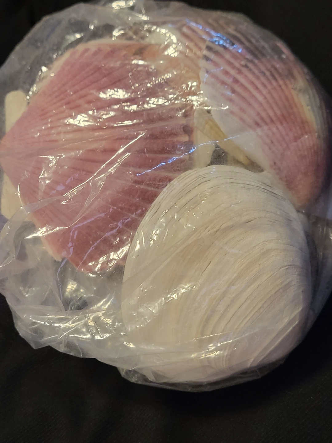 Bag of Assorted Seashells