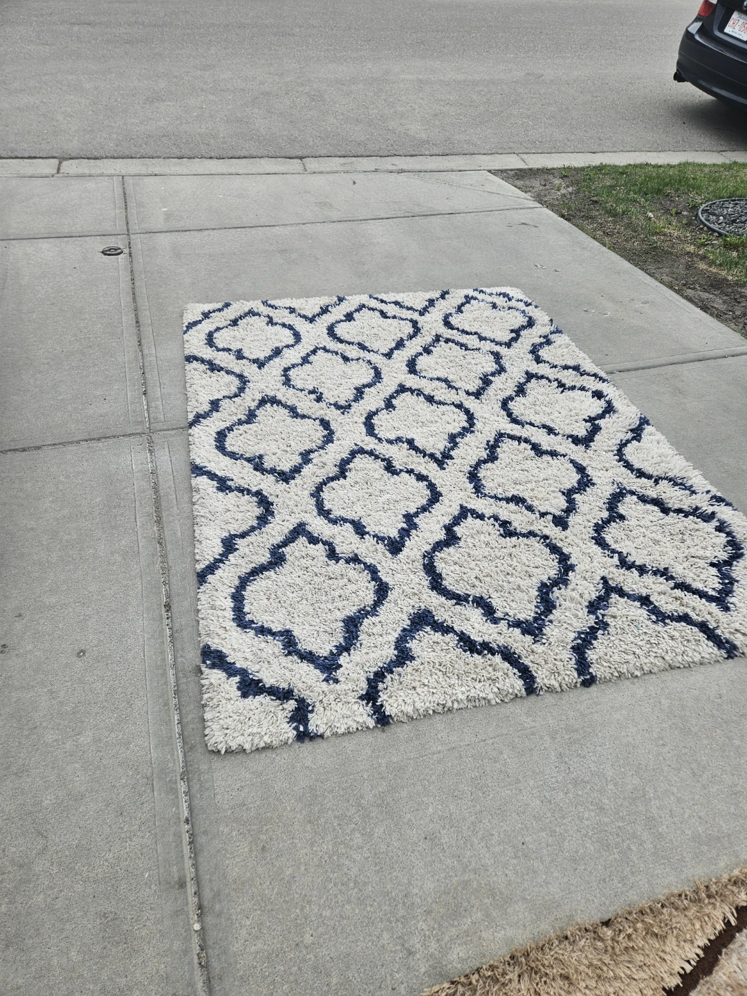 Shag Area Rug - Brown Swirls - photo 3
