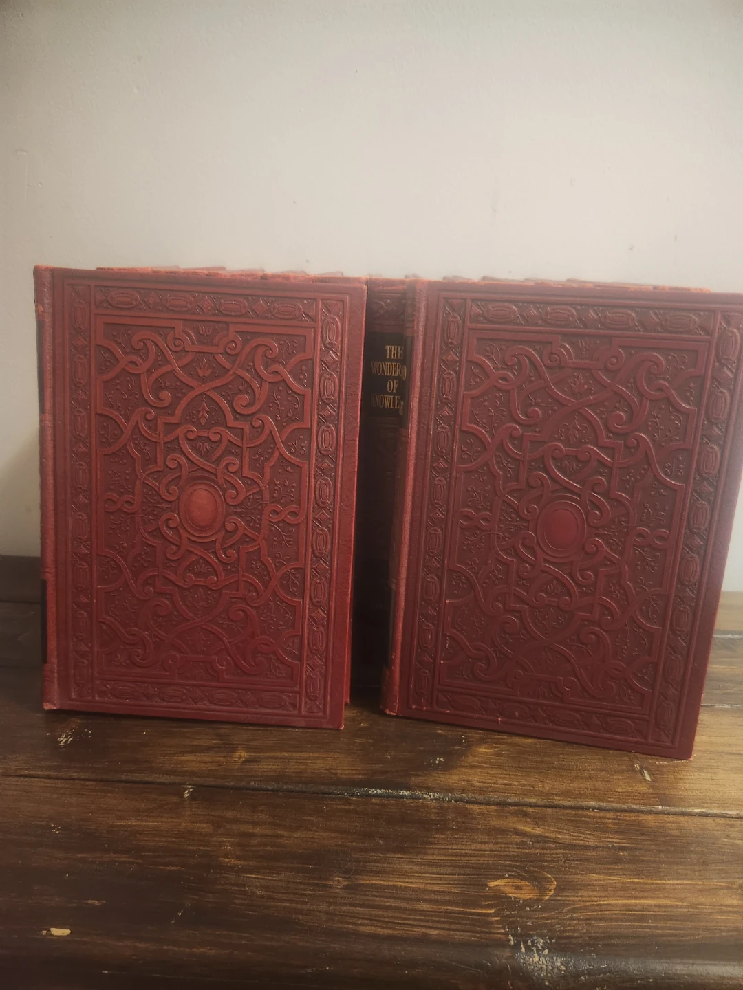 The Wonderland of Knowledge Book Set - photo 2