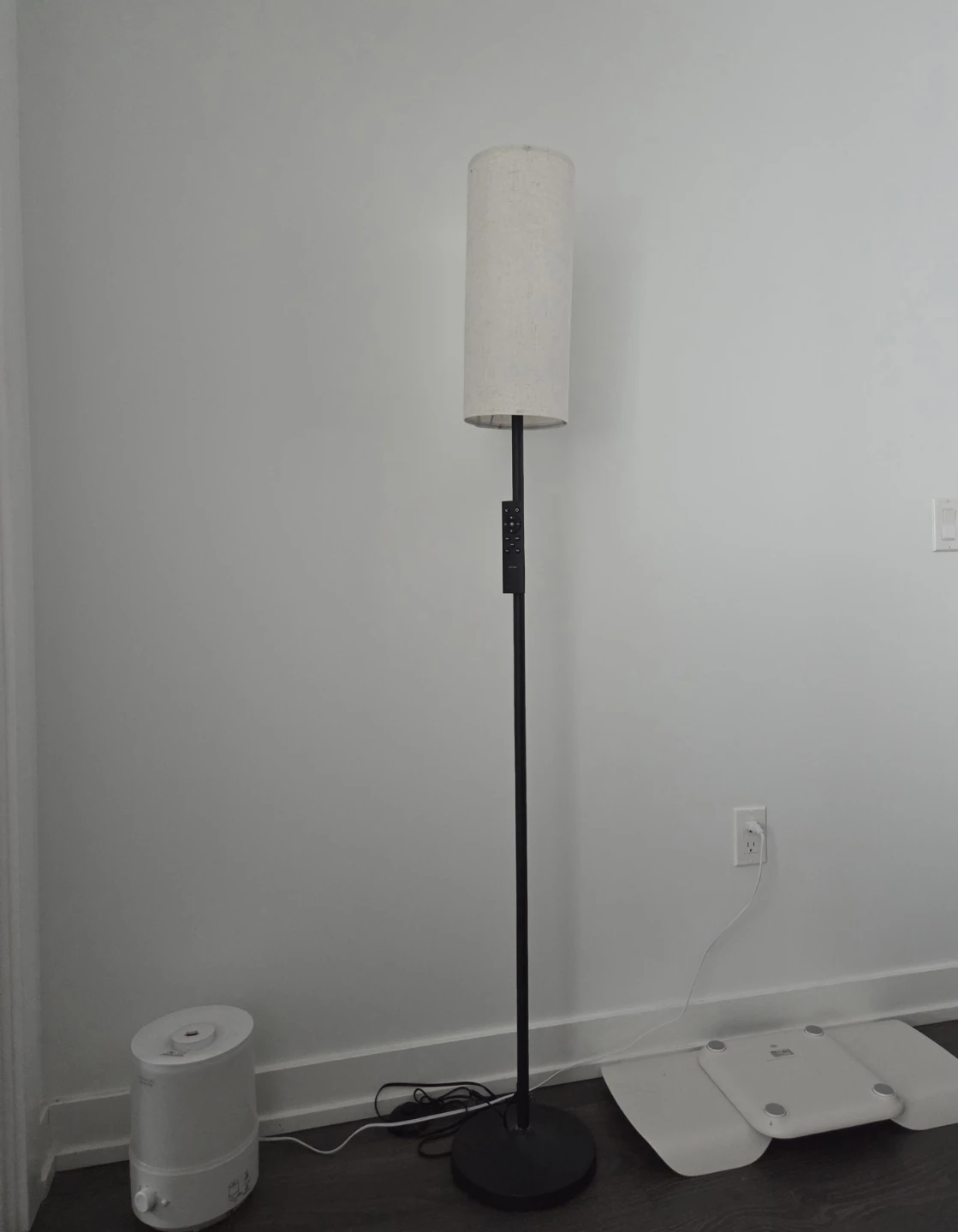 Modern Floor Lamp with Remote