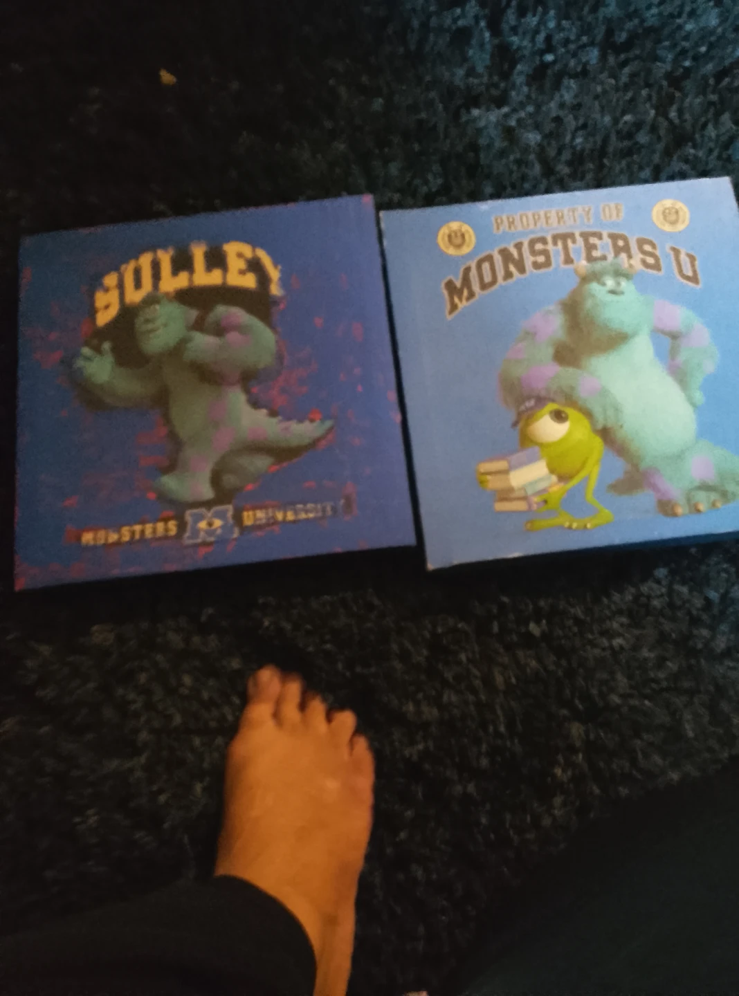 Monsters University Sulley and Mike Books