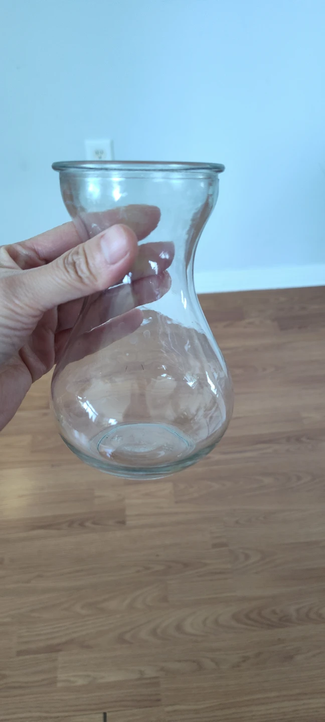 Clear Glass Vase - Small