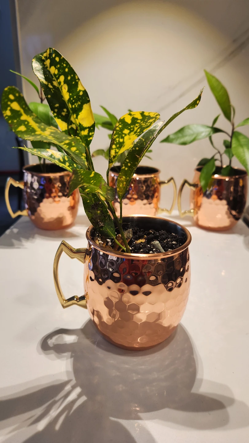 Copper mug planters with plants - photo 2