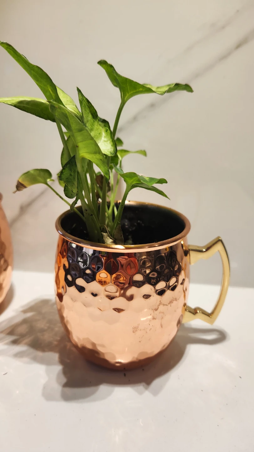 Copper mug planters with plants - photo 4