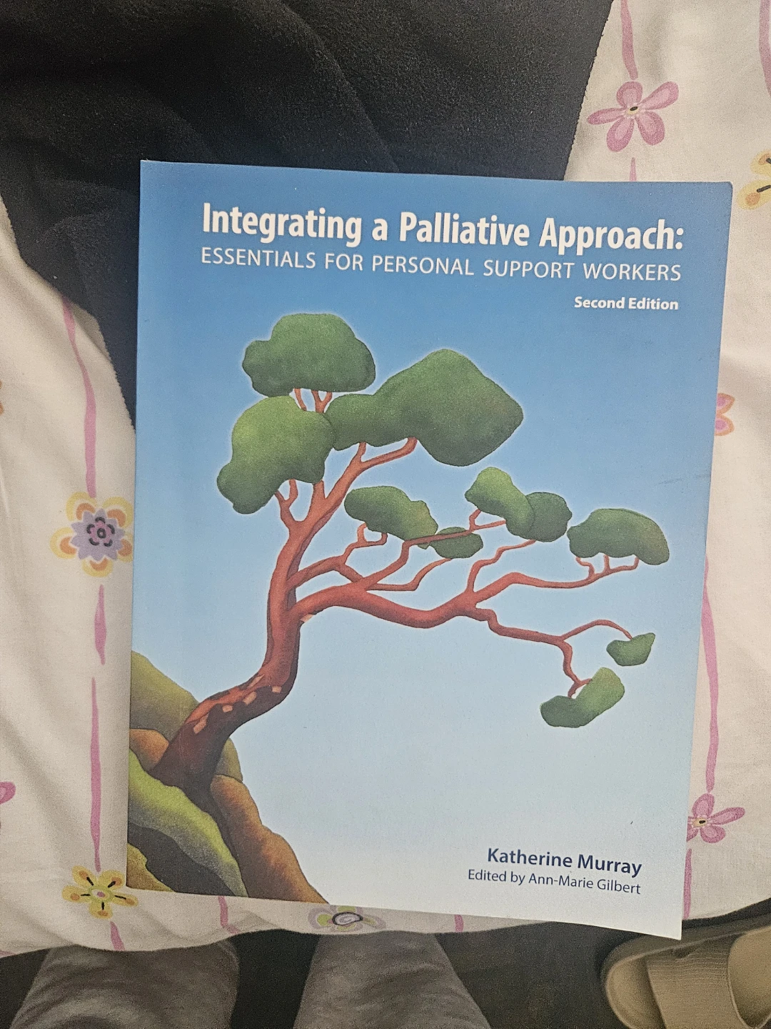 Palliative approach book