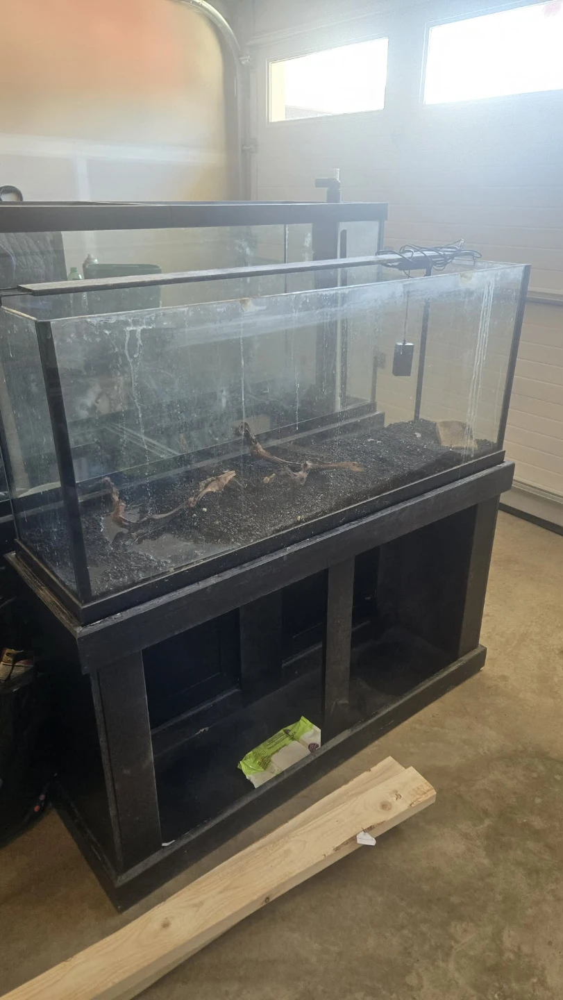 55 gallon Large Glass Aquarium with Black Stand