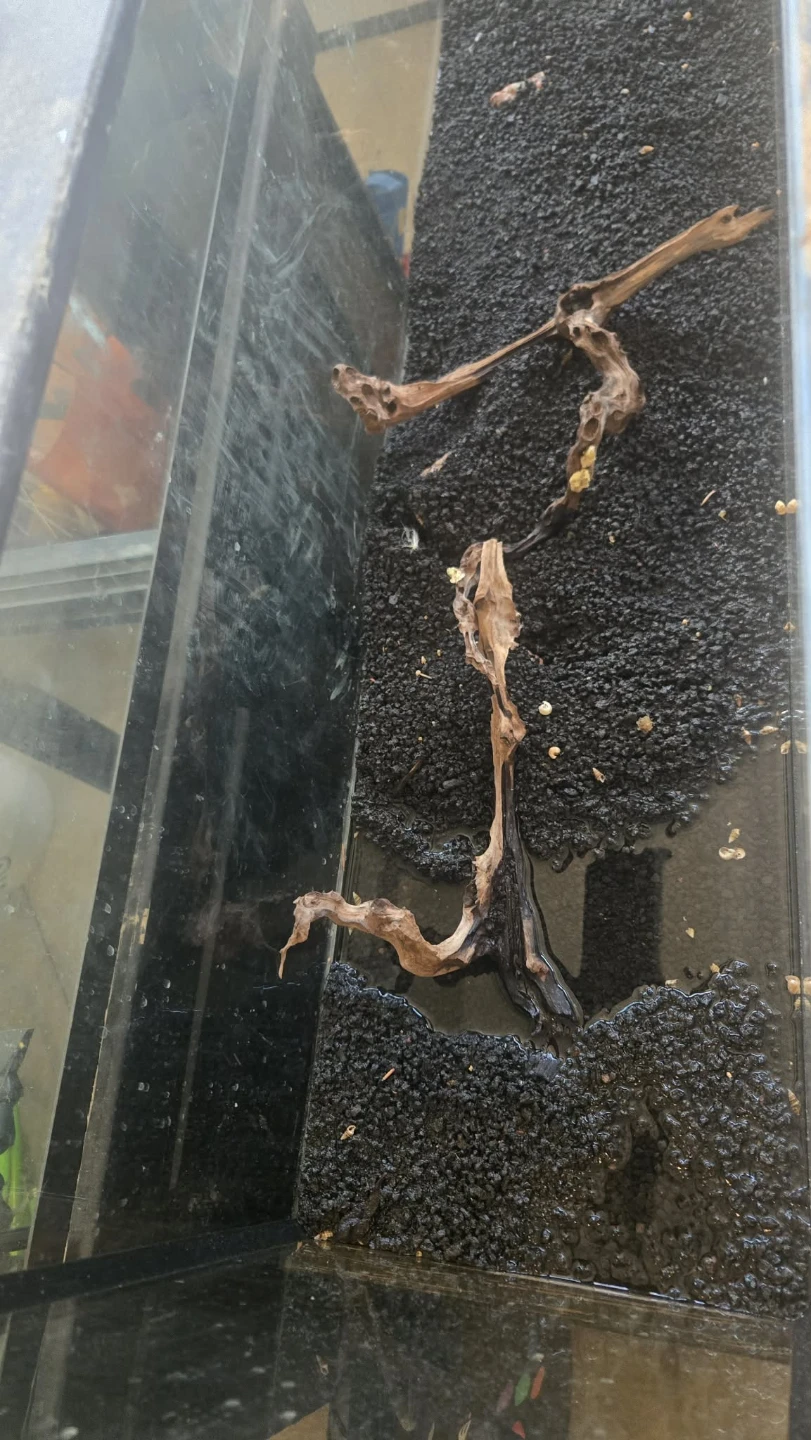 55 gallon Large Glass Aquarium with Black Stand - photo 2