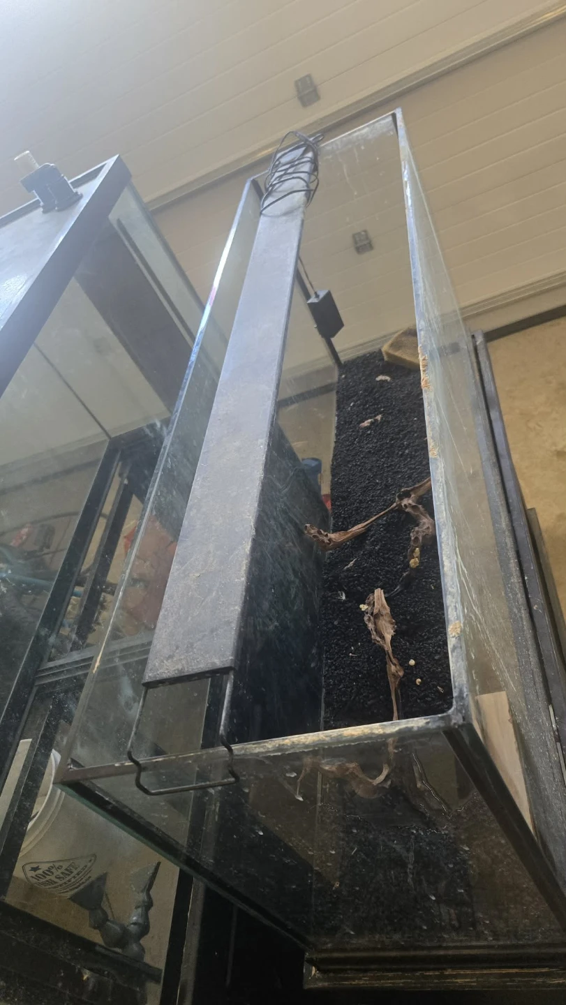 55 gallon Large Glass Aquarium with Black Stand - photo 3