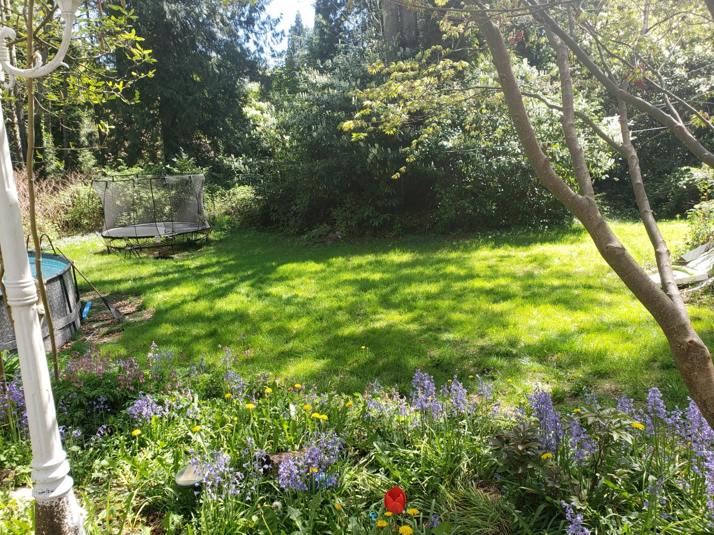 Lawn mowing service - photo 3