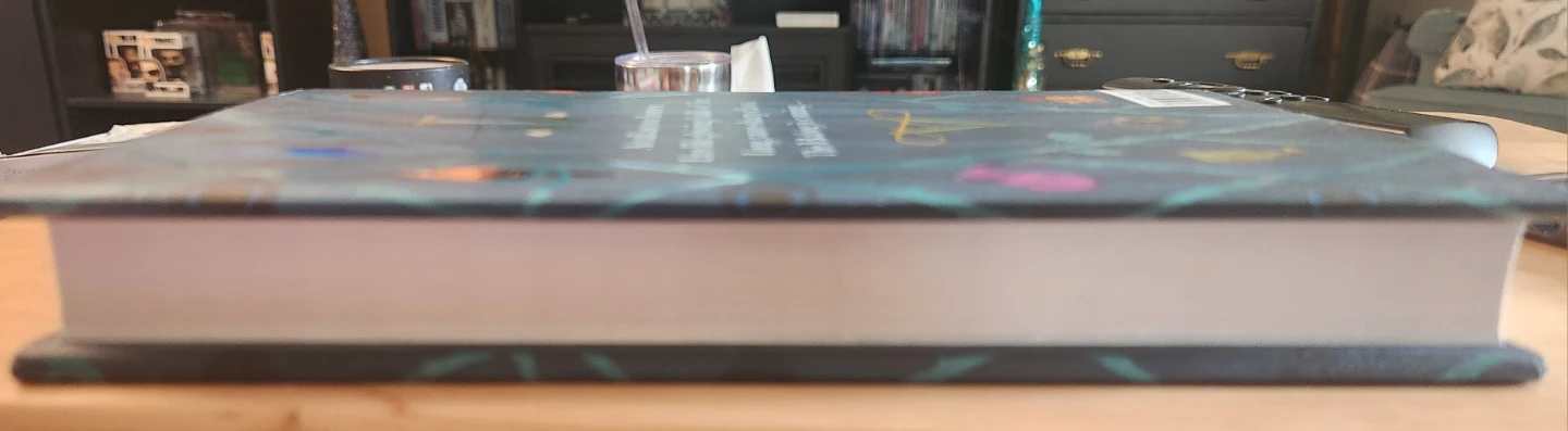 The Ickabog Children's Book by J.K. Rowling - photo 4