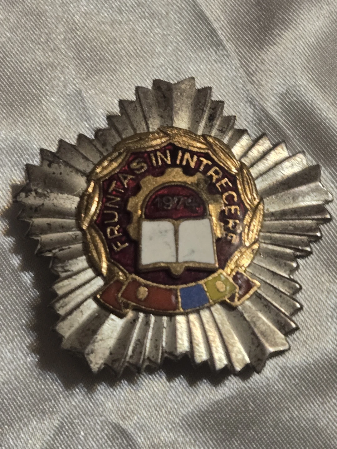 Vintage "Fruntas In Intrece" Badge with 1973 Date