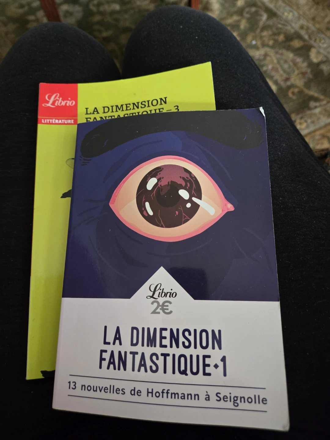 French Books - photo 2
