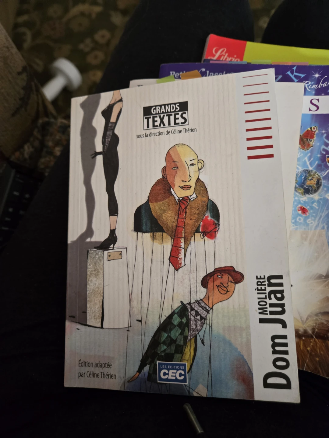 French Books - photo 5