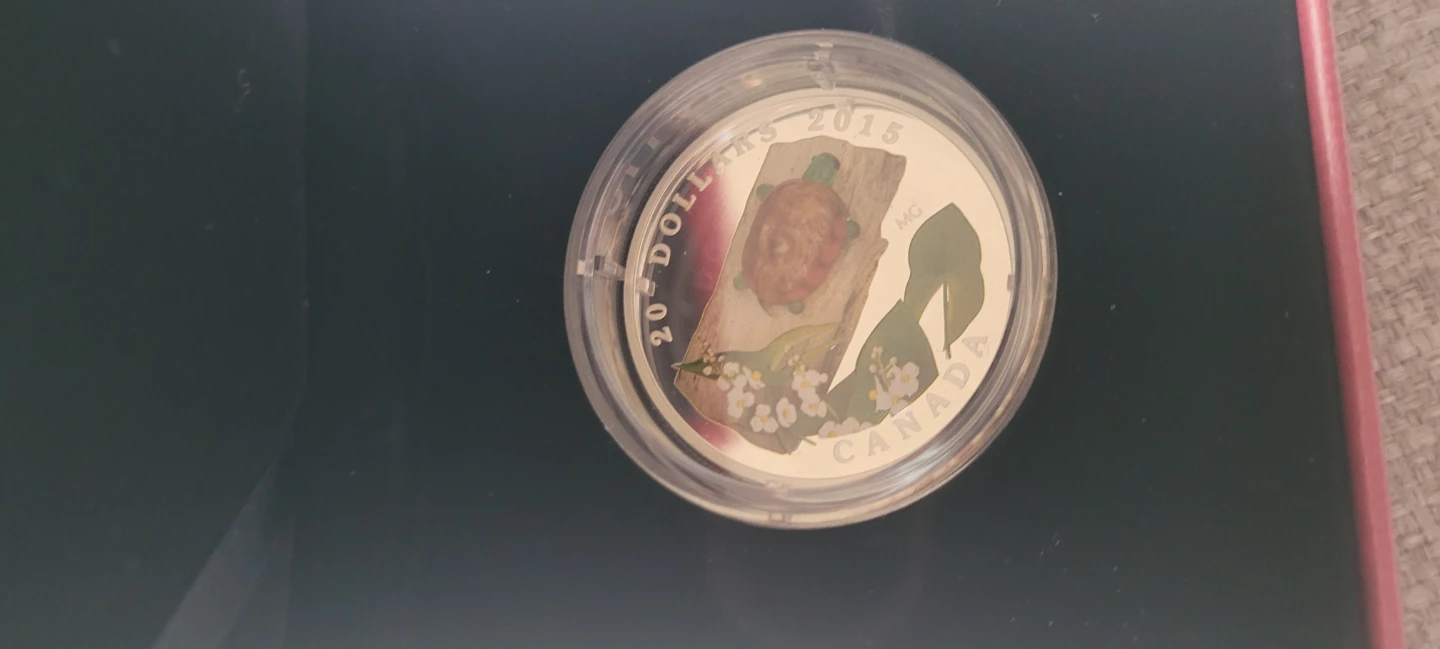 2015 Canada  - Venetian Glass Turtle - photo 2