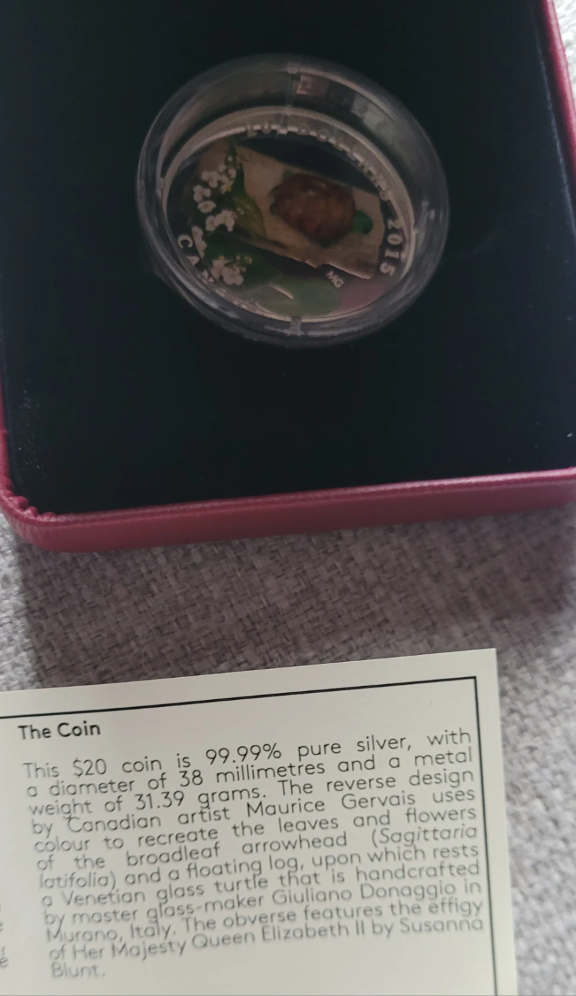 2015 Canada  - Venetian Glass Turtle - photo 4