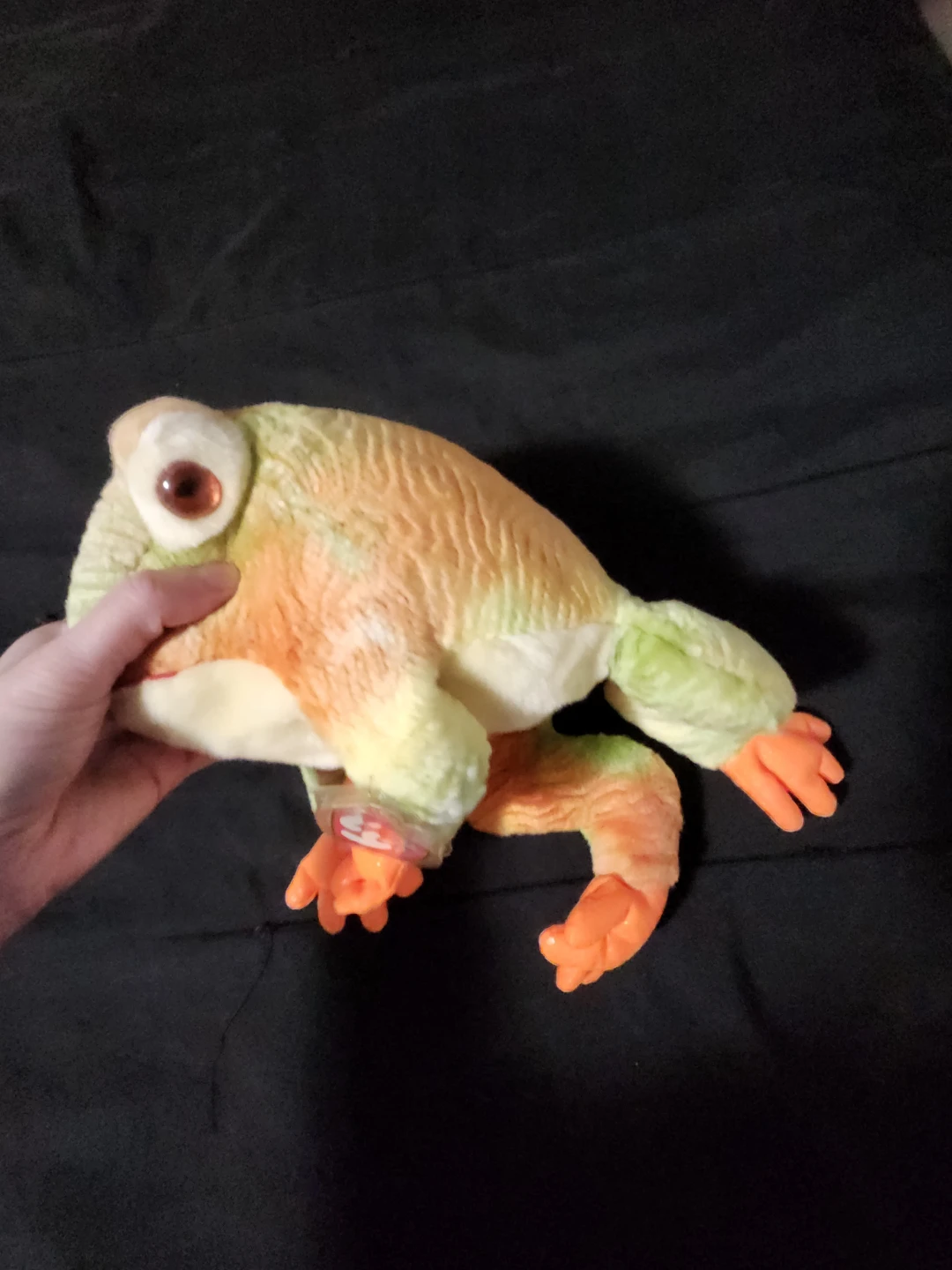 $10 ty frog - photo 2