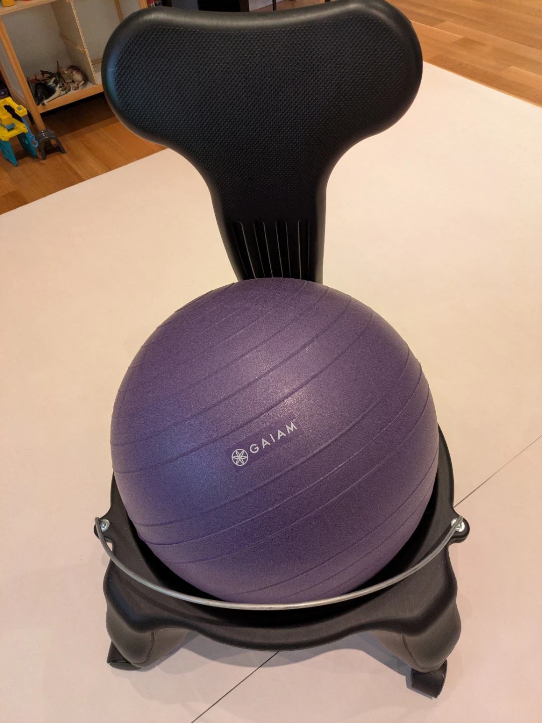 Gaiam Purple Exercise Ball